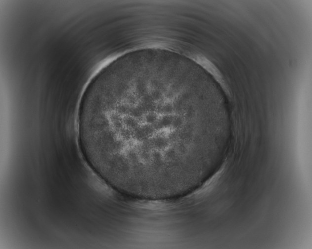 X0000087341028200704201142