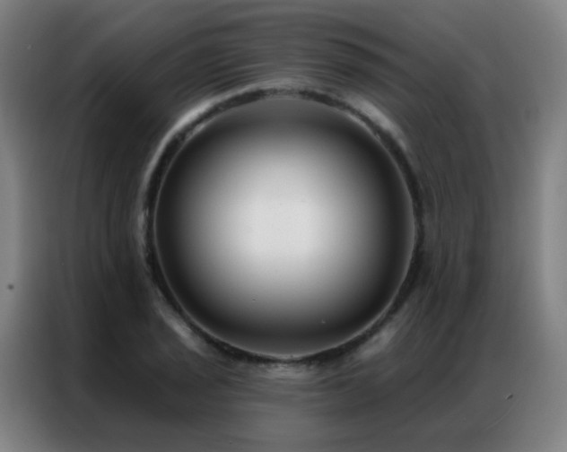 X0000087341029200704201142