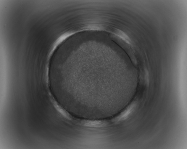 X0000087341030200704201142