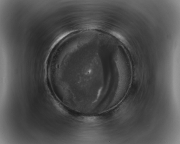 X0000087341031200704201142