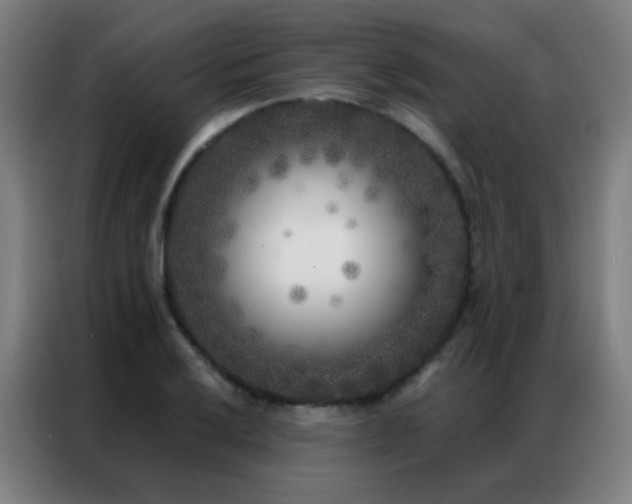 X0000087341032200704201142
