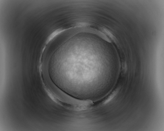 X0000087341034200704201142