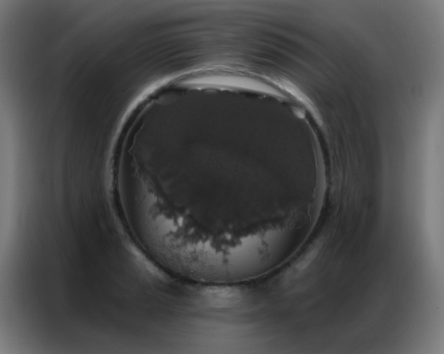 X0000087341037200704201142