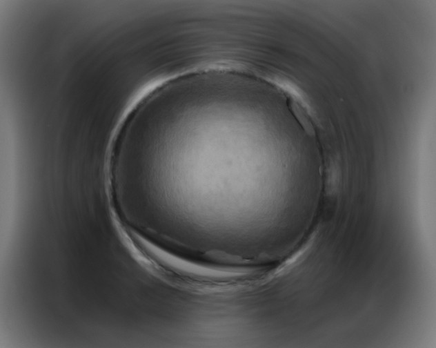 X0000087341038200704201142