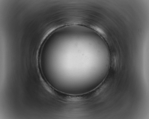 X0000087341039200704201142