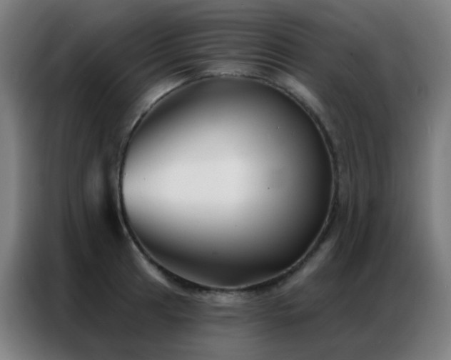 X0000087341041200704201142
