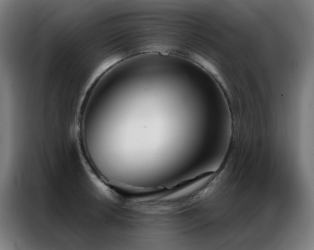 X0000087341042200704201142