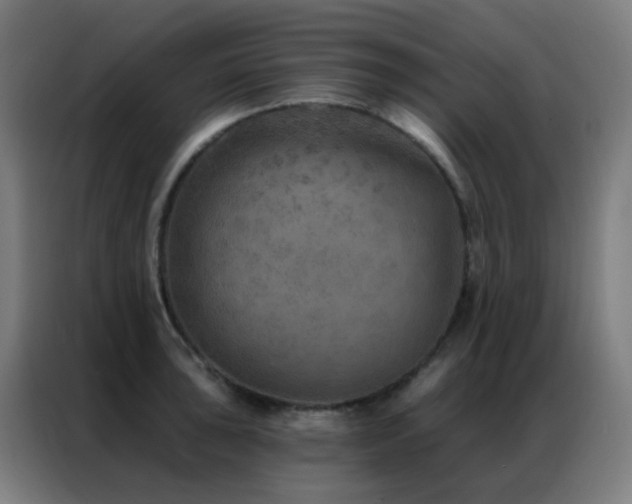 X0000087341043200704201142