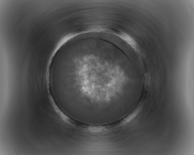 X0000087341046200704201142