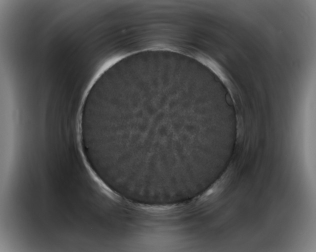 X0000087341048200704201142