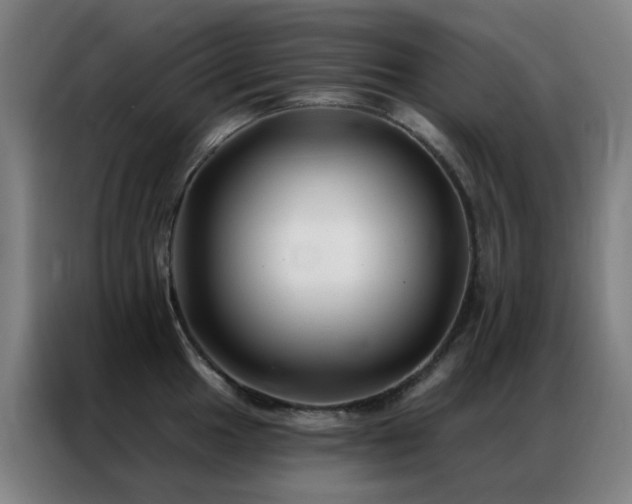 X0000087341049200704201142