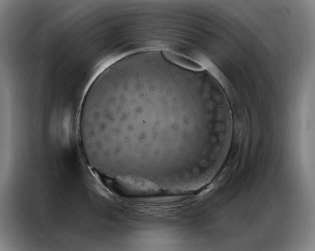 X0000087341052200704201142