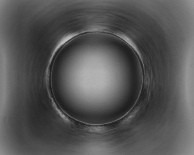 X0000087341053200704201142