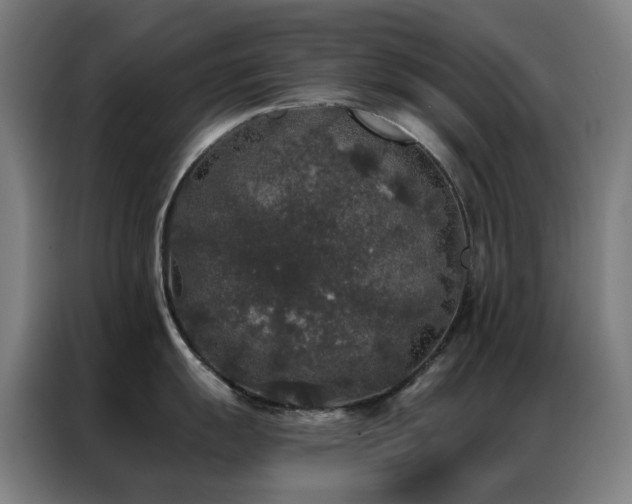 X0000087341055200704201142