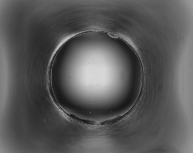 X0000087341056200704201142