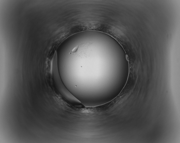 X0000087341058200704201141