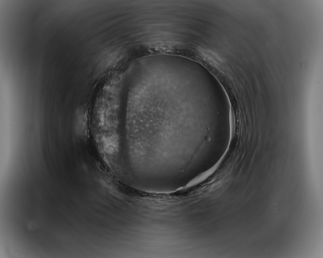 X0000087341060200704201141