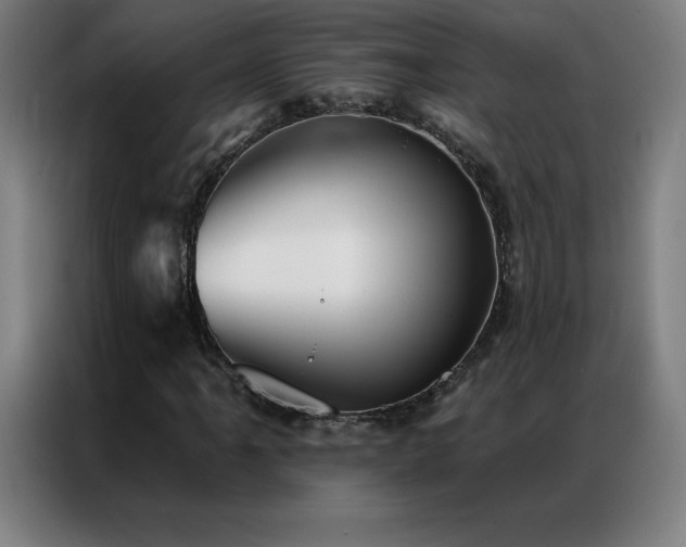 X0000087341061200704201141