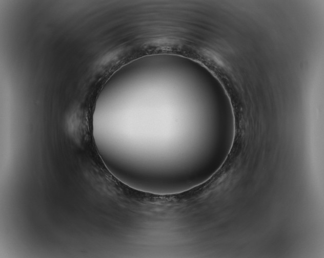 X0000087341062200704201141