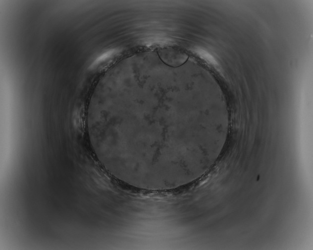 X0000087341063200704201141