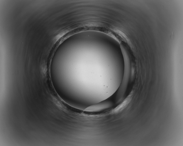 X0000087341065200704201141