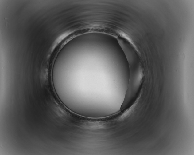 X0000087341066200704201141