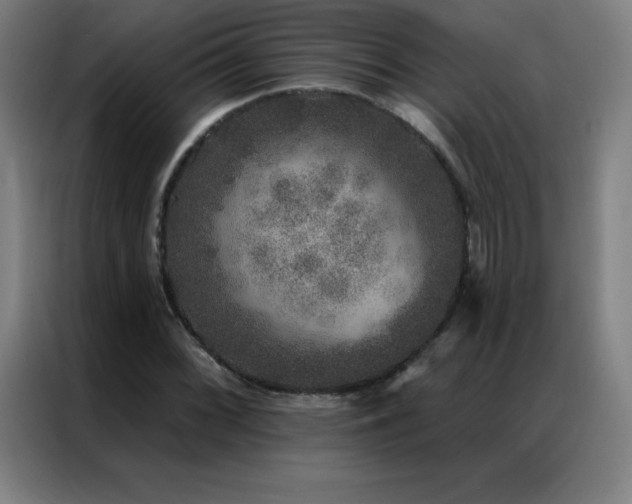 X0000087341068200704201141