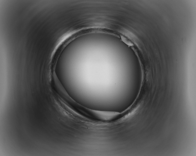 X0000087341069200704201141