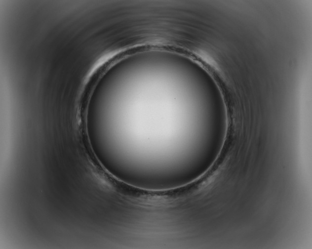 X0000087341070200704201141