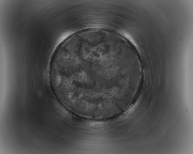 X0000087341071200704201141