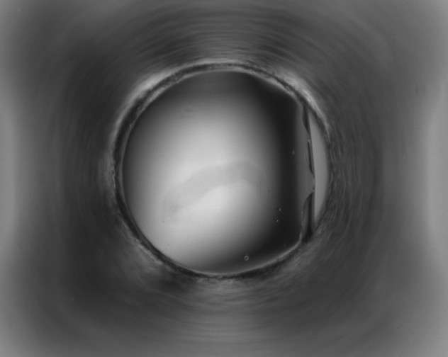 X0000087341072200704201141