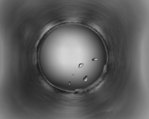 X0000087341075200704201141