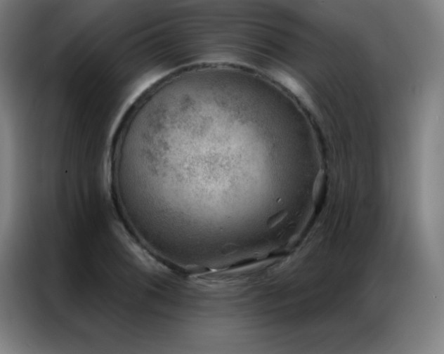 X0000087341076200704201141