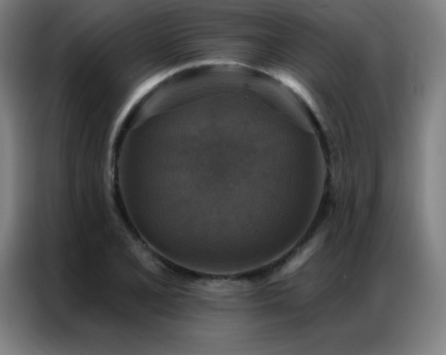 X0000087341077200704201141