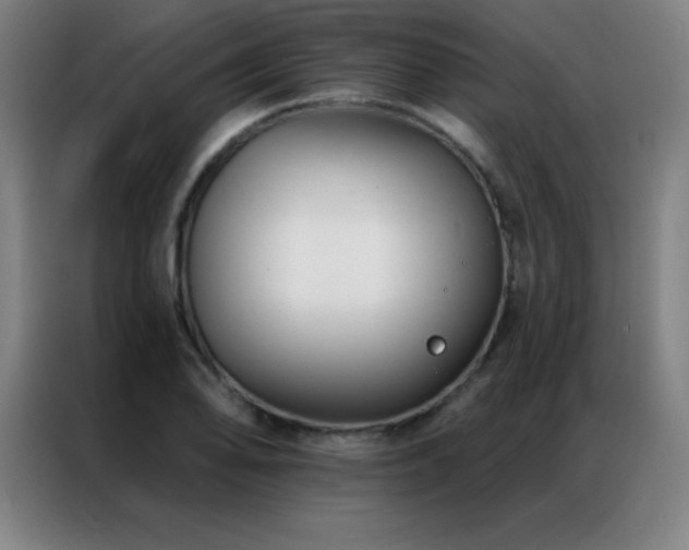 X0000087341078200704201141