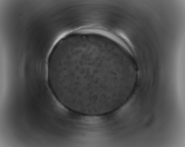 X0000087341079200704201141