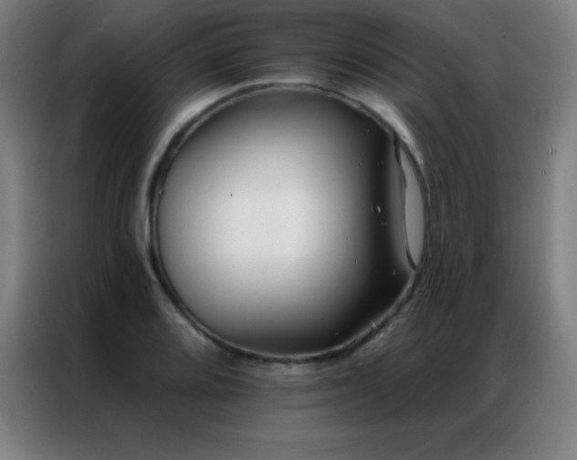 X0000087341080200704201141