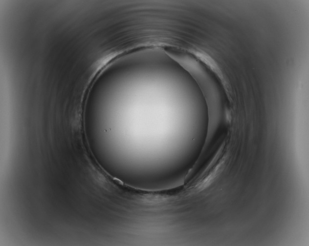 X0000087341081200704201141