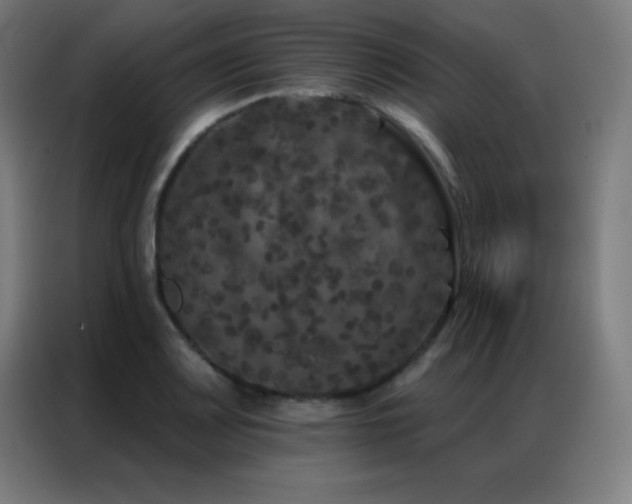 X0000087341083200704201141