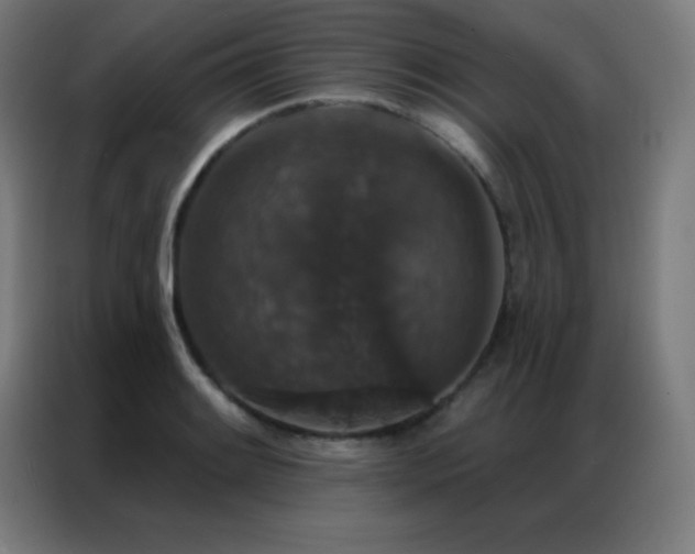 X0000087341084200704201141