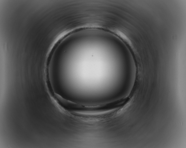 X0000087341085200704201141