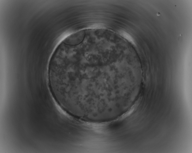 X0000087341087200704201141