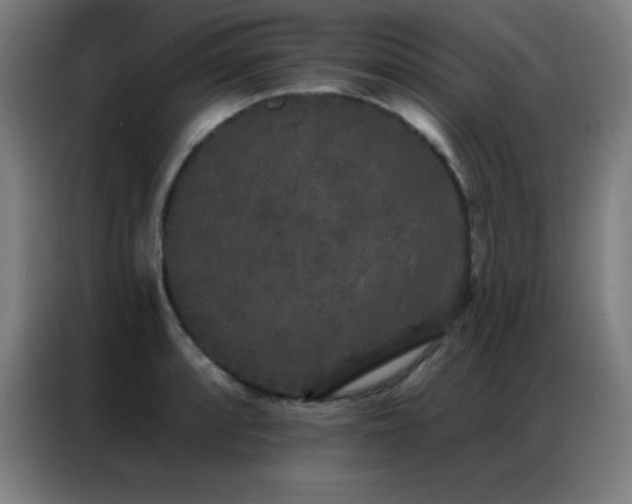 X0000087341088200704201141