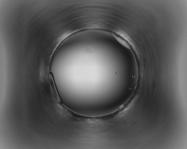 X0000087341089200704201141