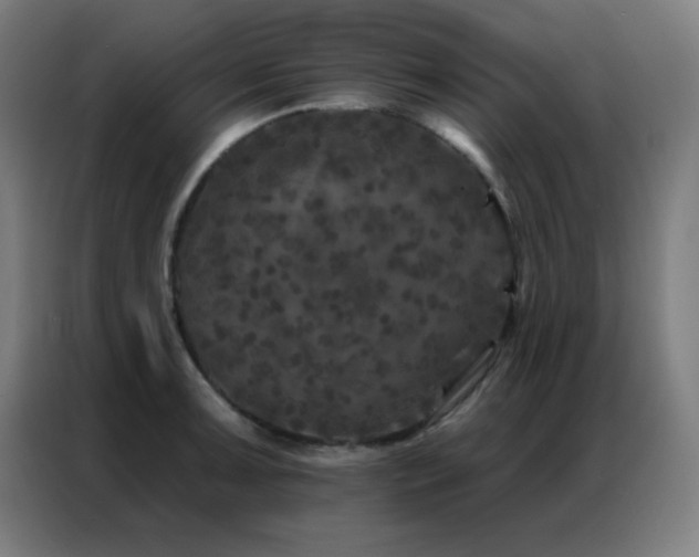 X0000087341091200704201141