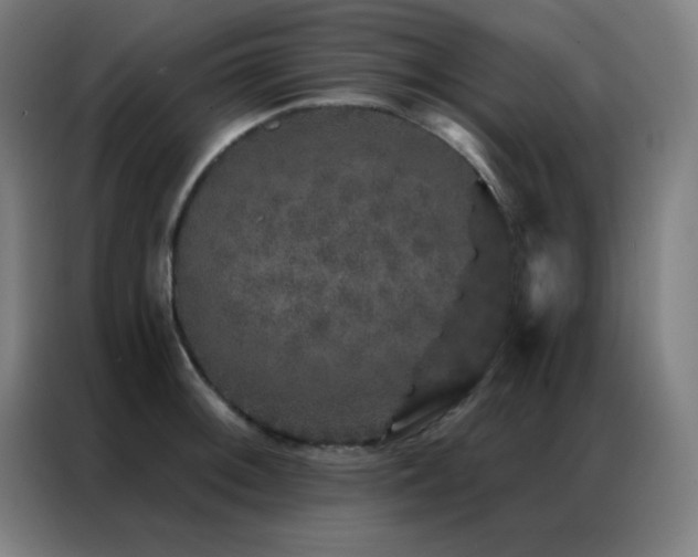 X0000087341092200704201141