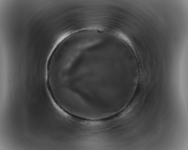 X0000087341095200704201141