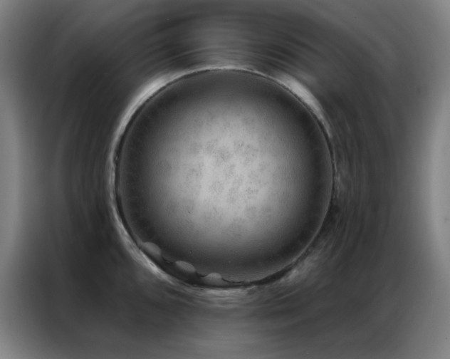 X0000087341096200704201141