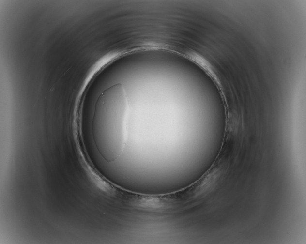 X0000087341098200704201141