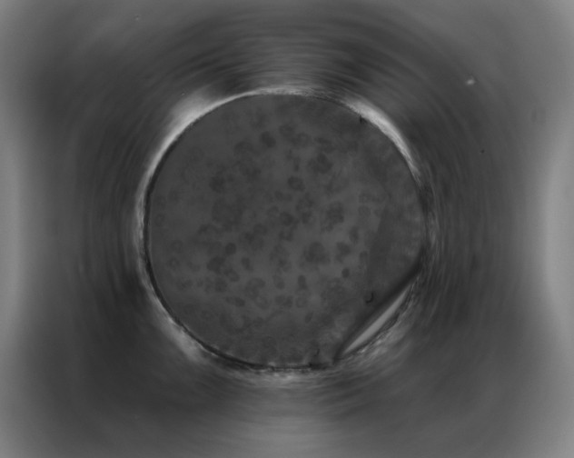 X0000087341099200704201141